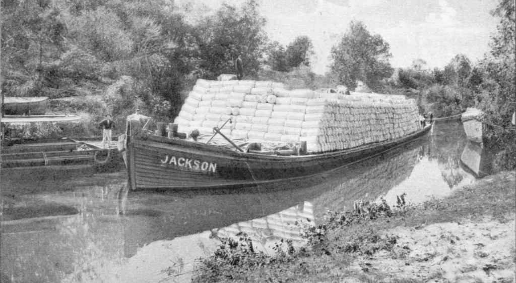 A photo showing a cotton barge.