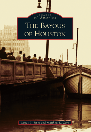 The Bayous of Houston book cover.