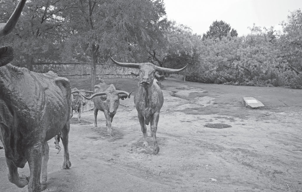 An image of the cattle sculptures in Dallas' Pioneer Plaza.