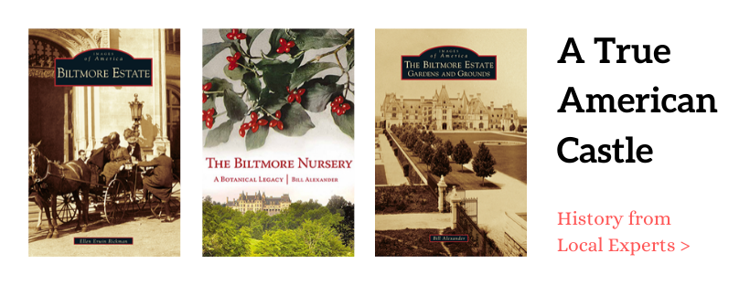 Banner ad for Biltmore books.