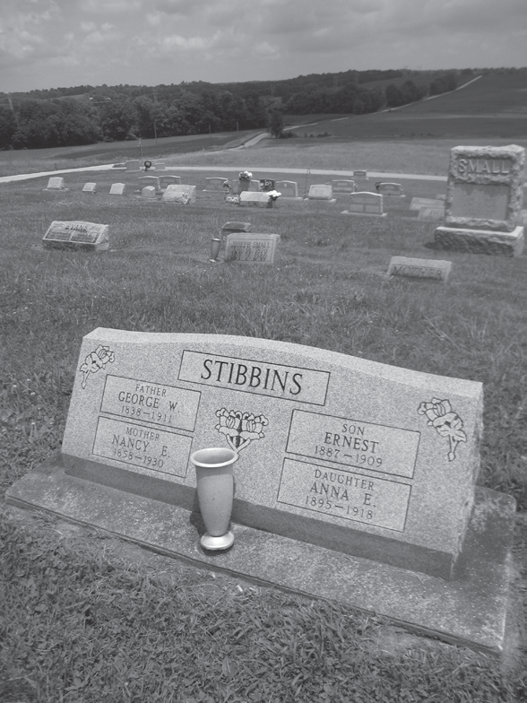 An image of the monument for George Stibbins.