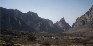 A photo of the Chihuahuan Desert in Big Bend National Park