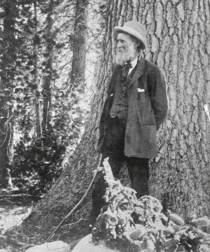 John Muir standing by a tree