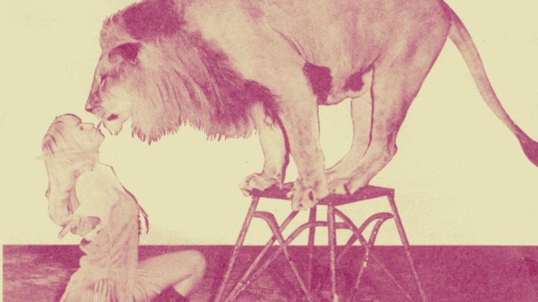 Behind the Tiger King: The eccentric history of zoos, circuses, and lion-tamers in America