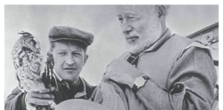 A white-haired Ernest Hemingway looking at an injured owl perched on a younger man's wrist.