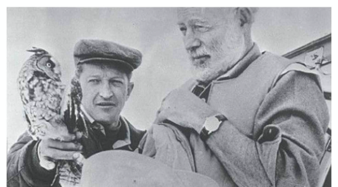 A white-haired Ernest Hemingway looking at an injured owl perched on a younger man's wrist.