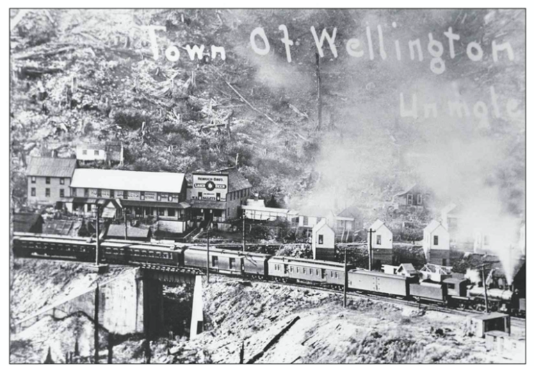 Terror in the Cascades: The 1910 Wellington Disaster